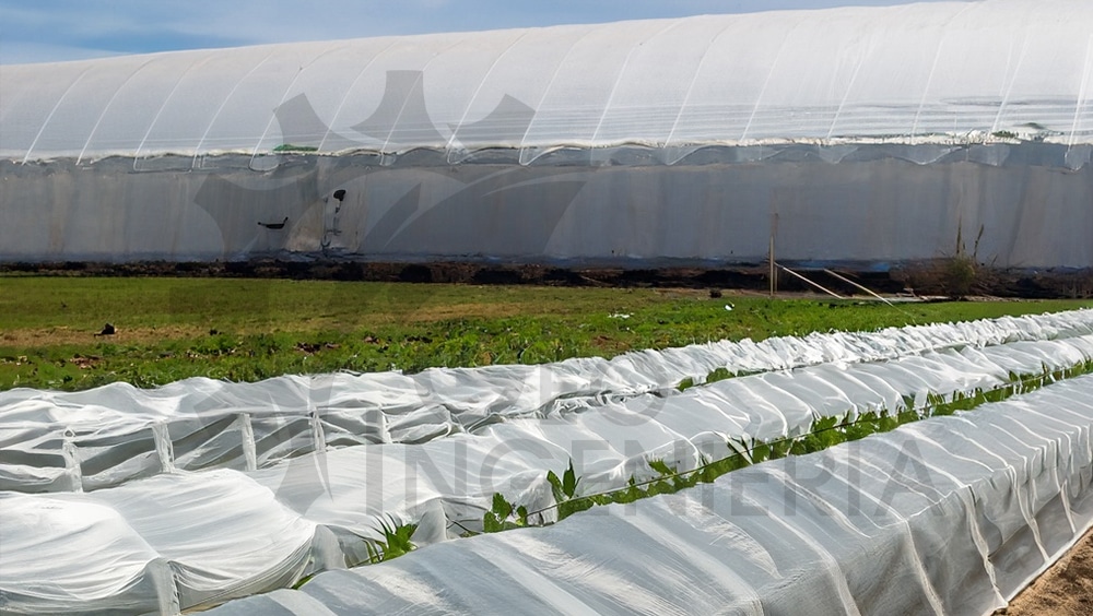 Construcción de Invernaderos con Agrofilm