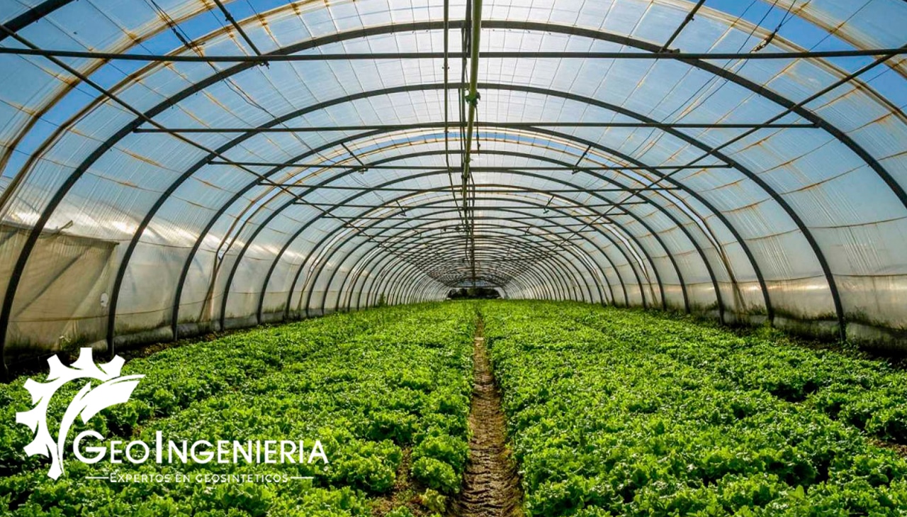 Construcción de Invernaderos con Agrofilm