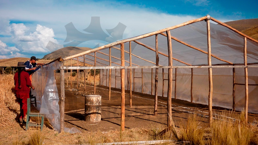 Construcción de Invernaderos con Agrofilm